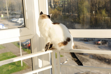 Similar image 21019499