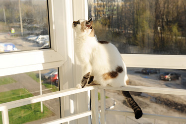 Similar image 21019500