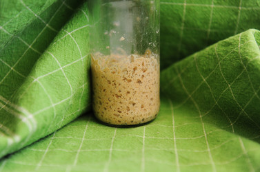 Similar image 21019502