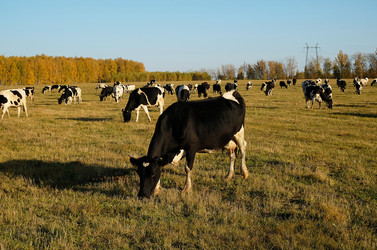 Similar image 20997552