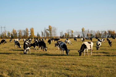 Similar image 20997553