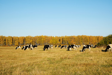 Similar image 20997557