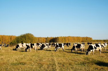 Similar image 20997558