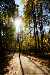 Similar image 20997561