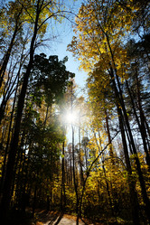 Similar image 20997563