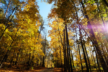 Similar image 20997566