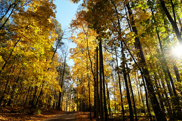 Similar image 20997567