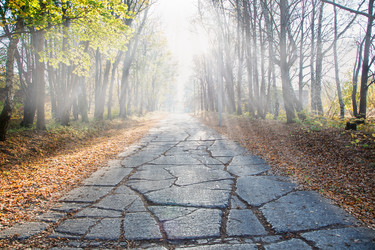 Similar image 20991997