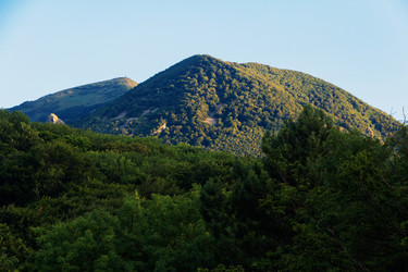 Similar image 20997771