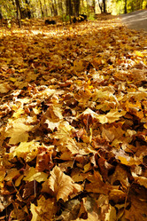 Similar image 21019504