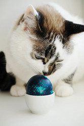 Similar image 21011413