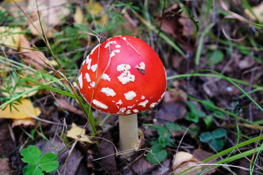 Similar image 21011533