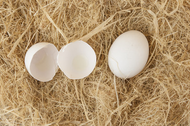 Similar image 21004310