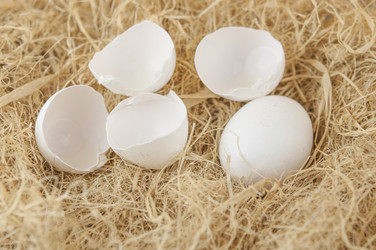 Similar image 21004312