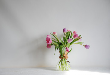 Similar image 21019403