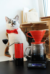 Similar image 20997597