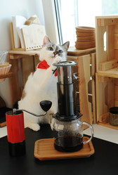 Similar image 20997598