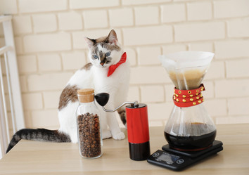 Similar image 20997602