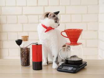 Similar image 20997603