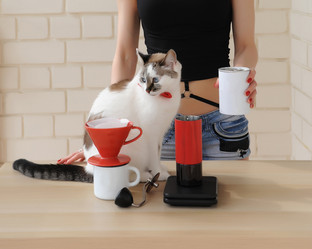 Similar image 20997606