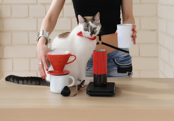 Similar image 20997607