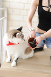 Similar image 21011552