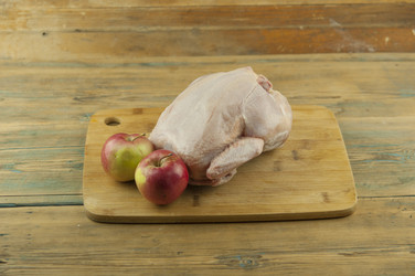 Similar image 21004245