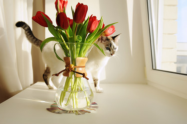 Similar image 20997632