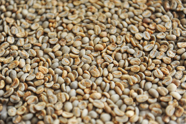 Similar image 21011428