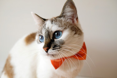 Similar image 21011596