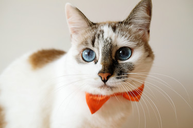 Similar image 21011597