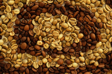 Similar image 21019187