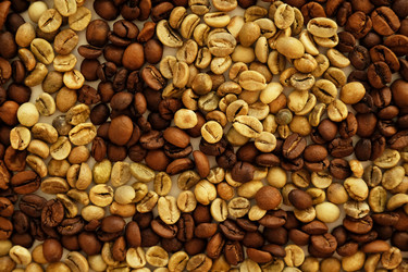 Similar image 21019303