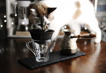 Similar image 20997648