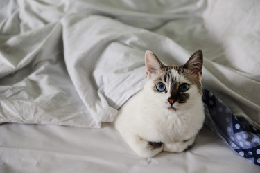 Similar image 21019699