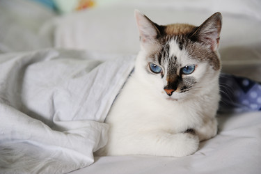 Similar image 21019700