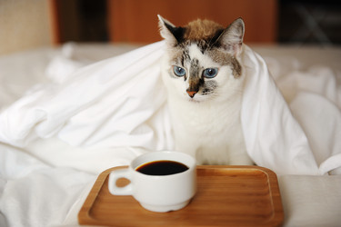 Similar image 21019703