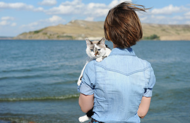 Similar image 21019705