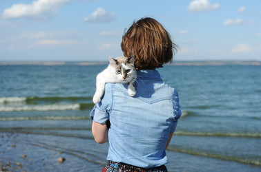 Similar image 21019706