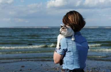 Similar image 21019707