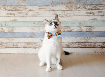 Similar image 20997677