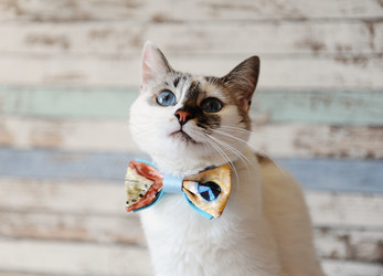 Similar image 20997678