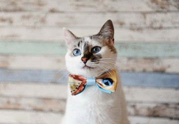 Similar image 20997679