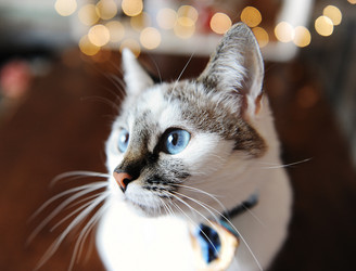 Similar image 21019346