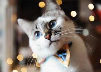 Similar image 21019382