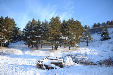 Similar image 21019533