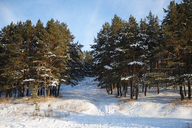 Similar image 21019535