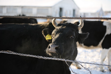 Similar image 21019542