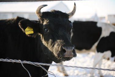 Similar image 21019543