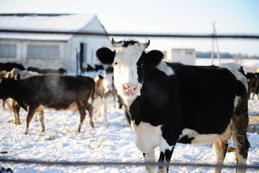 Similar image 21019544